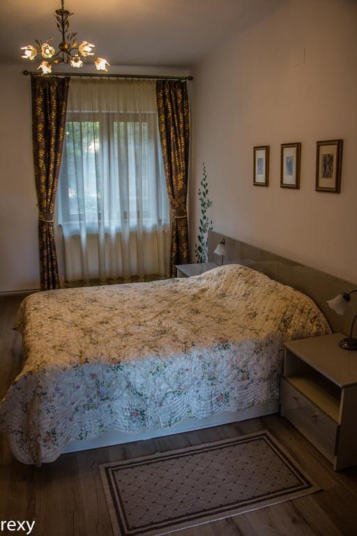 Chic Apartment Braşov Eksteriør billede