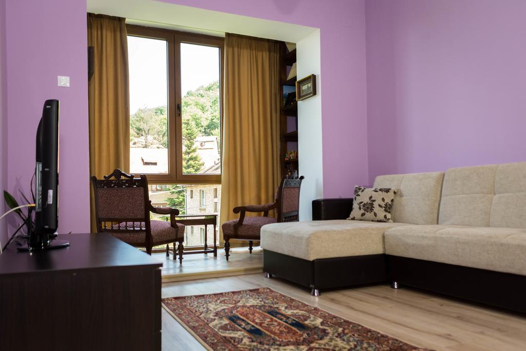 Chic Apartment Braşov Eksteriør billede